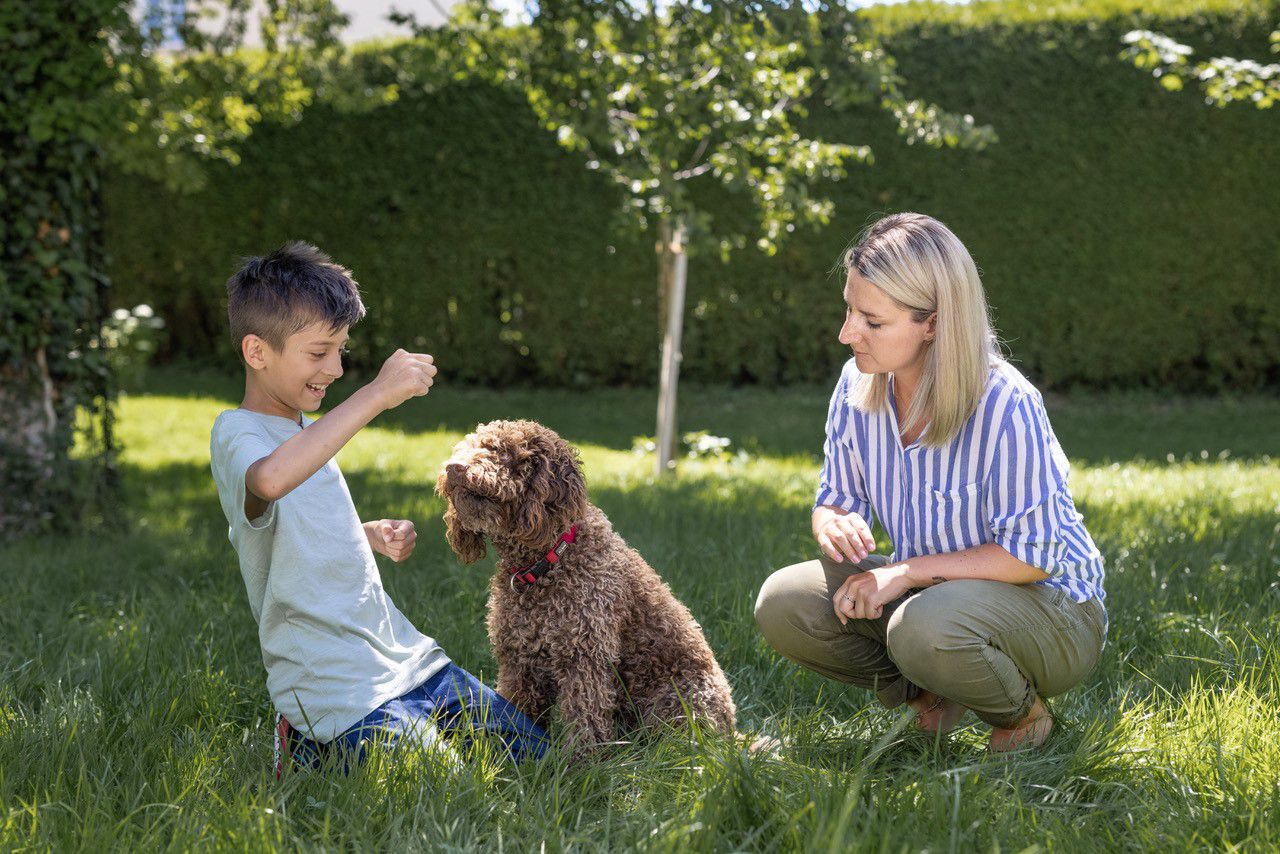 Odoo image and text block